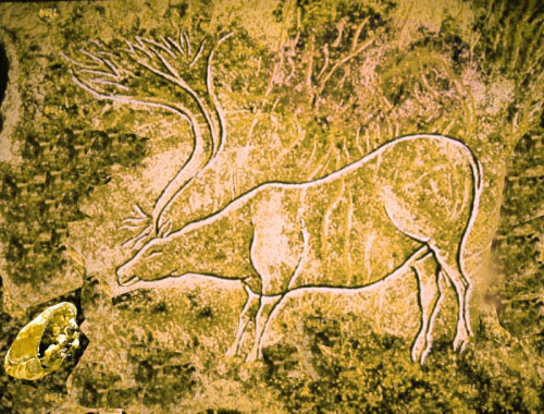 Elk with pasty - prehistoric cave drawing, Isles of Scilly
